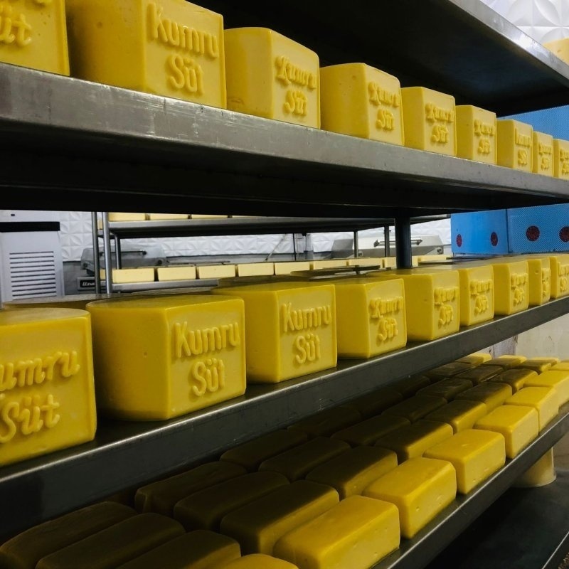 Kumru Süt Ürünleri Eski Kaşar